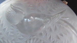 Art Deco Shade. P D'avesn France Signed Glass Plaffonier with Bird Decoration