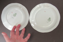 Load image into Gallery viewer, 1950s Atomic Garden Design. Crown Ducal Arizona Pattern  Pair of Side Plates
