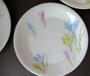 1950s Norwegian Figgjo Flint Crocus Pattern Side Plate