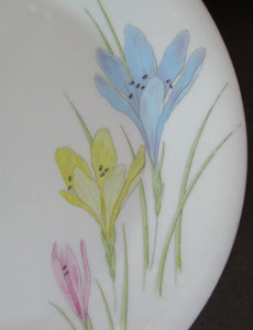 1950s Norwegian Figgjo Flint Crocus Pattern Side Plate