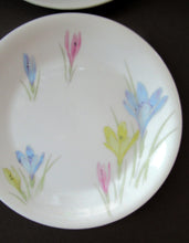 Load image into Gallery viewer, 1950s Norwegian Figgjo Flint Crocus Pattern Side Plate
