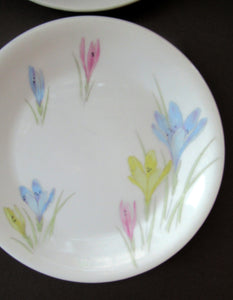 1950s Norwegian Figgjo Flint Crocus Pattern Side Plate