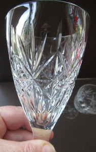 Six Large Edinburgh Crystal Large White Wine Glasses 