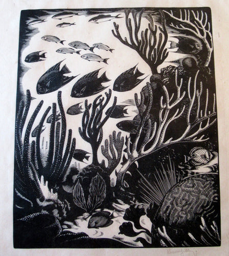 Robert Gibbings Wood Engraving Blue Angel Fish and Coral