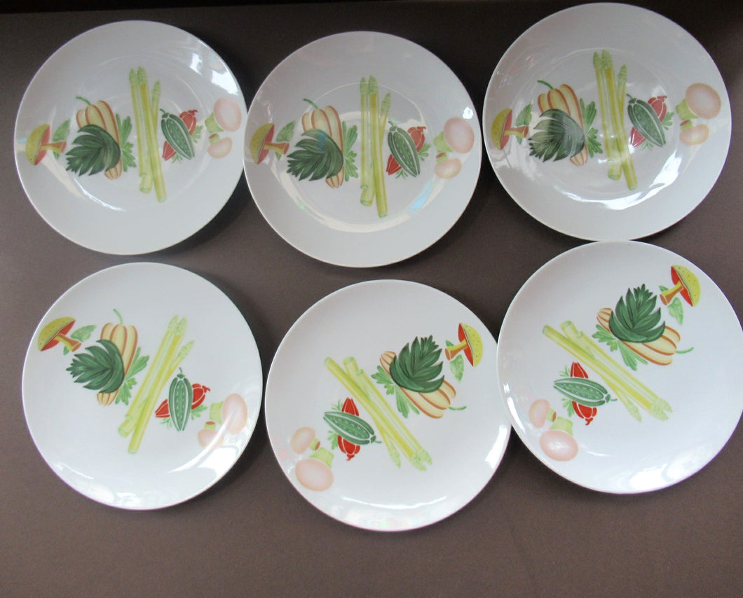 Winterling Marktleuthen 1960s Salad Ware Pattern Side Plates