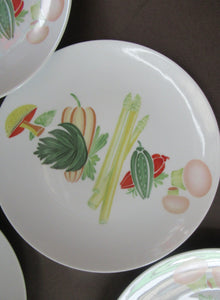 Winterling Marktleuthen 1960s Salad Ware Pattern Side Plates