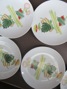 Winterling Marktleuthen 1960s Salad Ware Pattern Side Plates