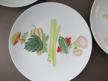 Load image into Gallery viewer, Winterling Marktleuthen 1960s Salad Ware Pattern Side Plates
