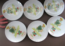 Load image into Gallery viewer, Winterling Marktleuthen 1960s Salad Ware Pattern Side Plates
