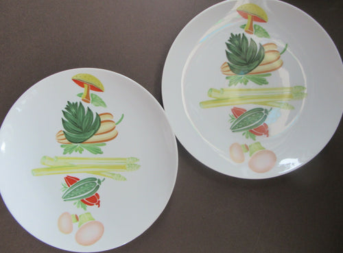 Winterling Marktleuthen 1960s Salad Ware Pattern Side Plates