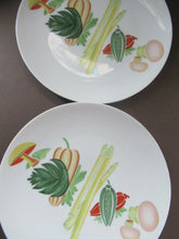 Load image into Gallery viewer, Winterling Marktleuthen 1960s Salad Ware Pattern Side Plates
