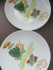 Winterling Marktleuthen 1960s Salad Ware Pattern Side Plates