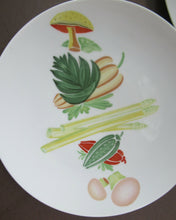 Load image into Gallery viewer, Winterling Marktleuthen 1960s Salad Ware Pattern Side Plates
