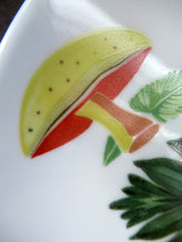 Load image into Gallery viewer, Winterling Marktleuthen 1960s Salad Ware Pattern Side Plates
