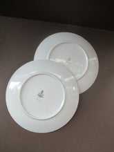 Load image into Gallery viewer, Winterling Marktleuthen 1960s Salad Ware Pattern Side Plates
