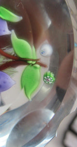 Vintage Allan Scott J Glass Jay Glass Lampwork Scottish Paperweight with Dragonfly