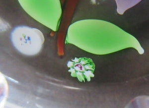 Vintage Allan Scott J Glass Jay Glass Lampwork Scottish Paperweight with Dragonfly