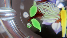 Load image into Gallery viewer, Vintage Allan Scott J Glass Jay Glass Lampwork Scottish Paperweight with Dragonfly
