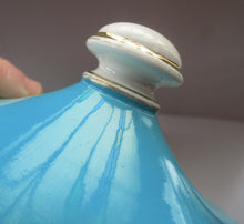 Load image into Gallery viewer, 1960s Portmeirion Blue Apothecary Pot. Dolphins Tea
