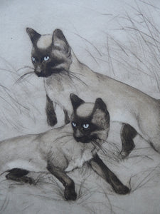 Vernon Stokes Etching Two Siamese Cats Watching a Cricket
