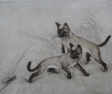Load image into Gallery viewer, Vernon Stokes Etching Two Siamese Cats Watching a Cricket
