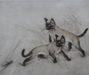 Vernon Stokes Etching Two Siamese Cats Watching a Cricket