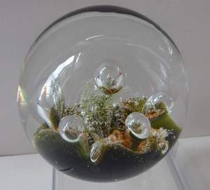 Collectable Vintage 1983 COLIN TERRIS Caithness Glass Paperweight: Sea Dance