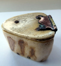 Load image into Gallery viewer, 19th Century Napoleonic French Prisoner of War Carved Ox Bone Snuff Box or Snuff Mull
