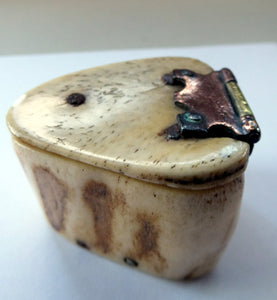 19th Century Napoleonic French Prisoner of War Carved Ox Bone Snuff Box or Snuff Mull