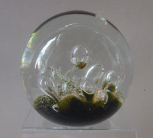 Load image into Gallery viewer, Colin Terris Caithness Paperweight 1983 Sea Dance Seadance
