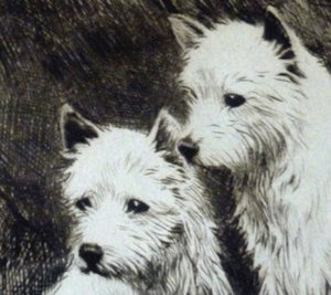 LISTED ARTIST. George Soper (1870 - 1942). Original 1920s Etching of Two West Highland Terriers. Signed in pencil