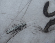 Load image into Gallery viewer, Vernon Stokes Etching Two Siamese Cats Watching a Cricket
