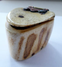 Load image into Gallery viewer, 19th Century Napoleonic French Prisoner of War Carved Ox Bone Snuff Box or Snuff Mull
